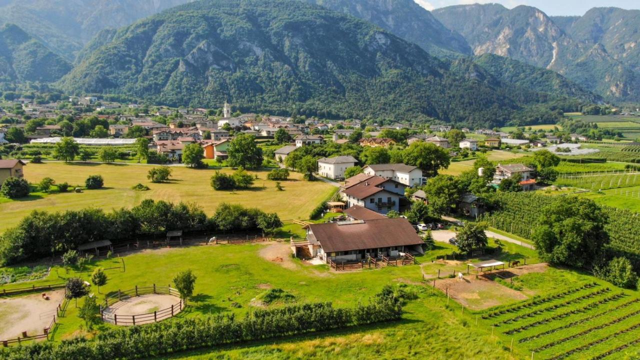 Agritur Airone Bed & Camping レーヴィコ・テルメ エクステリア 写真