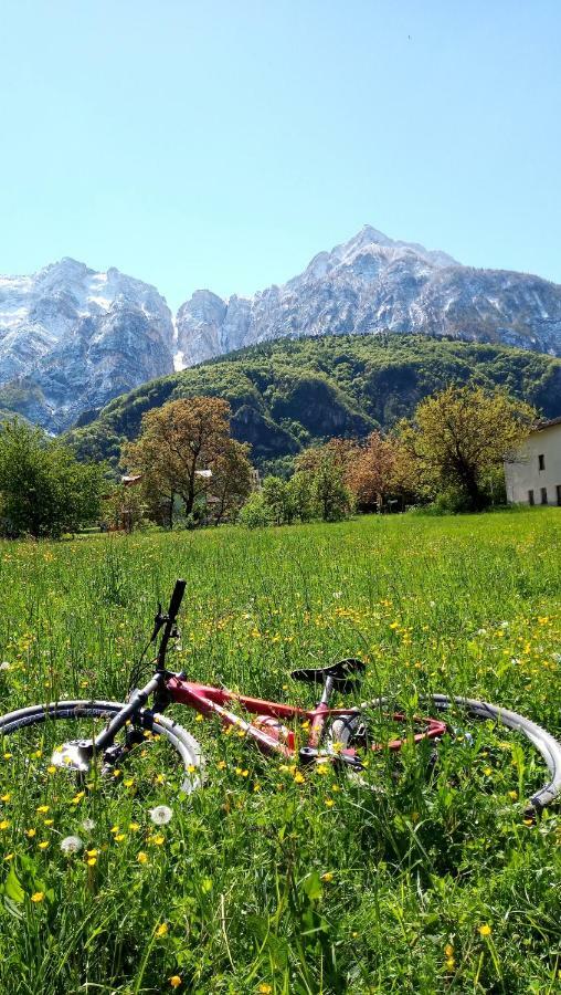 Agritur Airone Bed & Camping レーヴィコ・テルメ エクステリア 写真